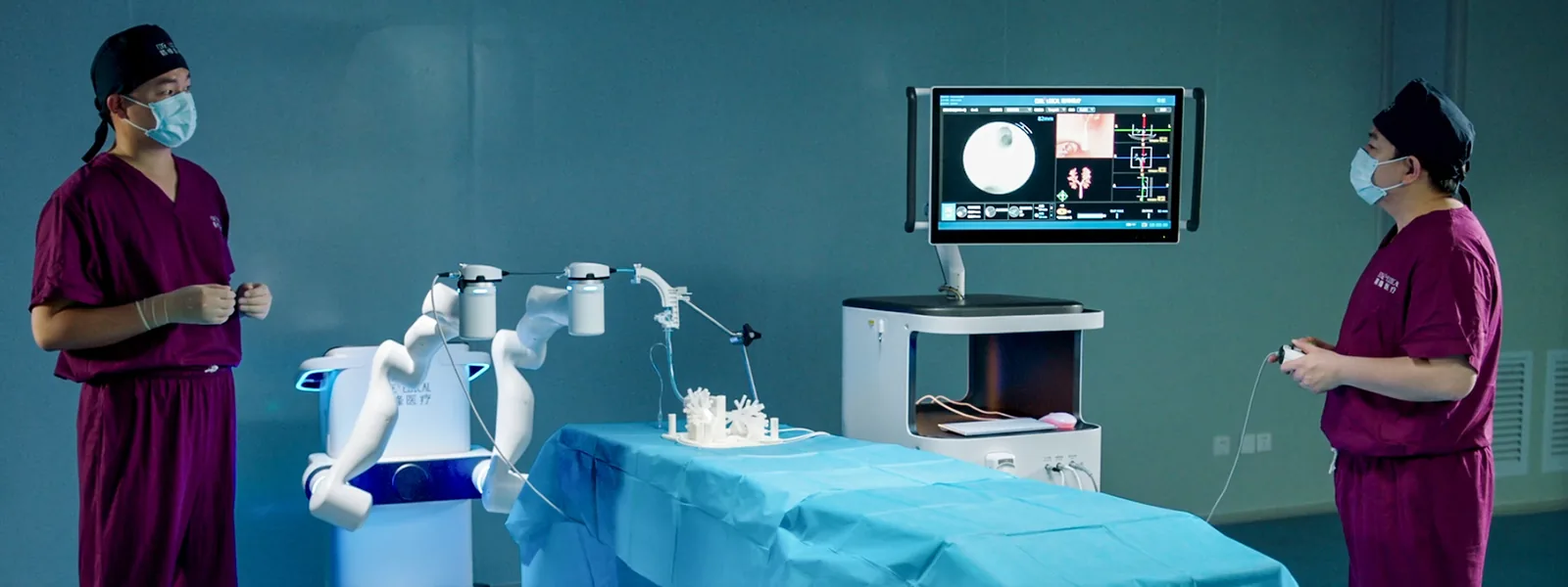 Bronchoscopic Robotic System