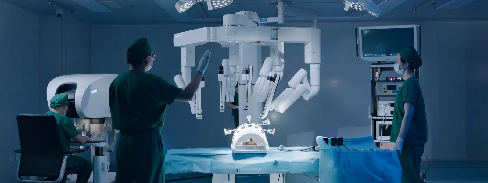 Multi-Port Endoscopic Surgical Robot